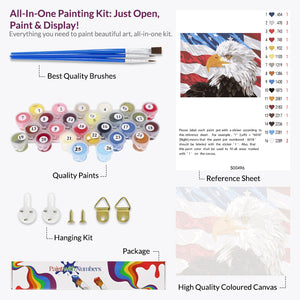 American Eagle Paint by Numbers