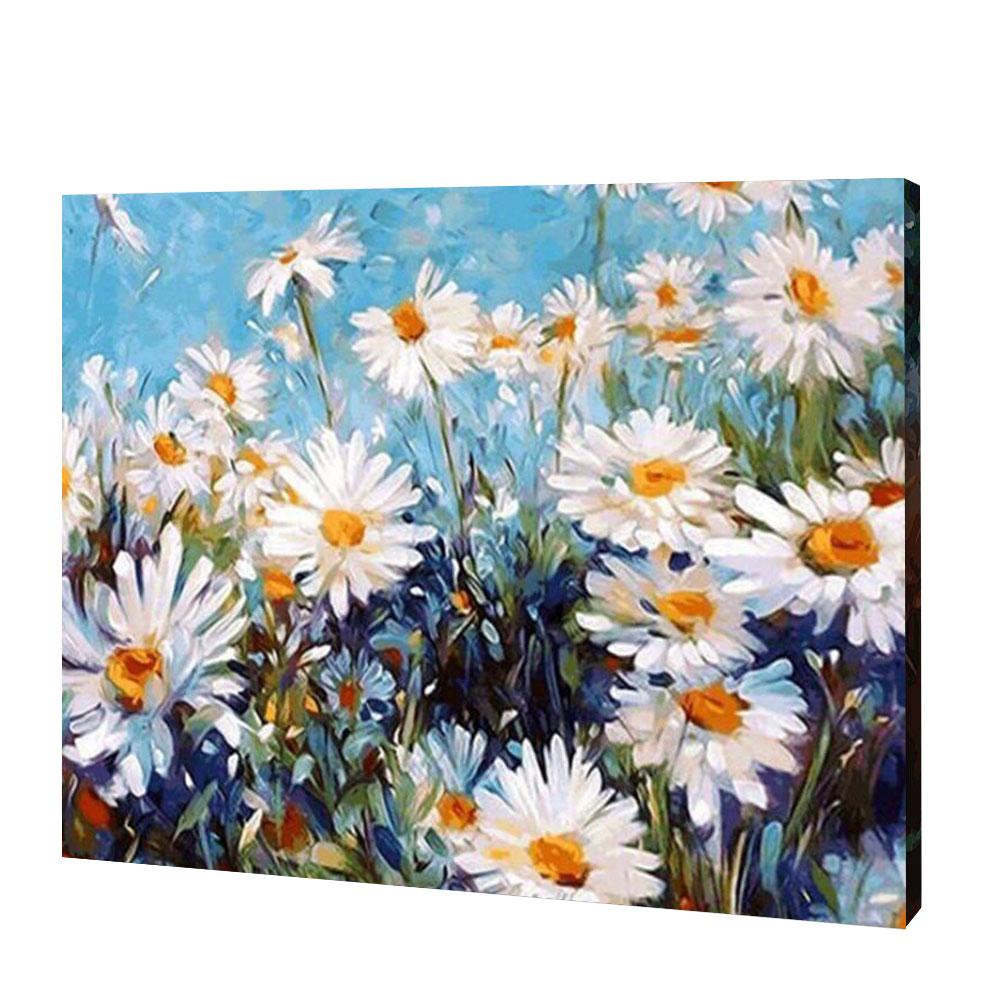 White Daisies , Paint by Numbers