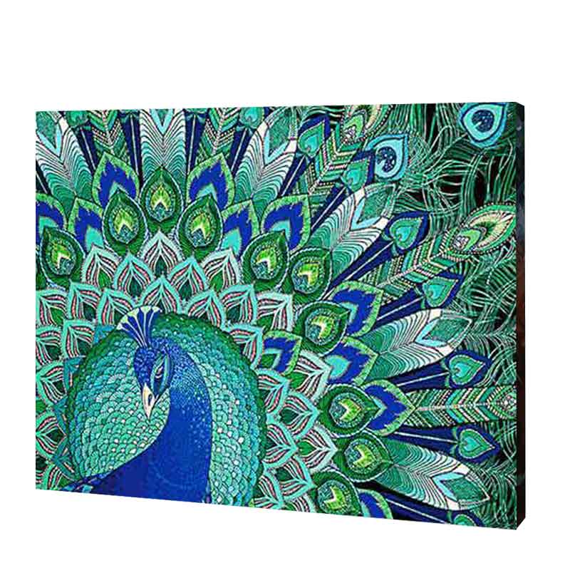 Peacock Beauty Diamond Painting