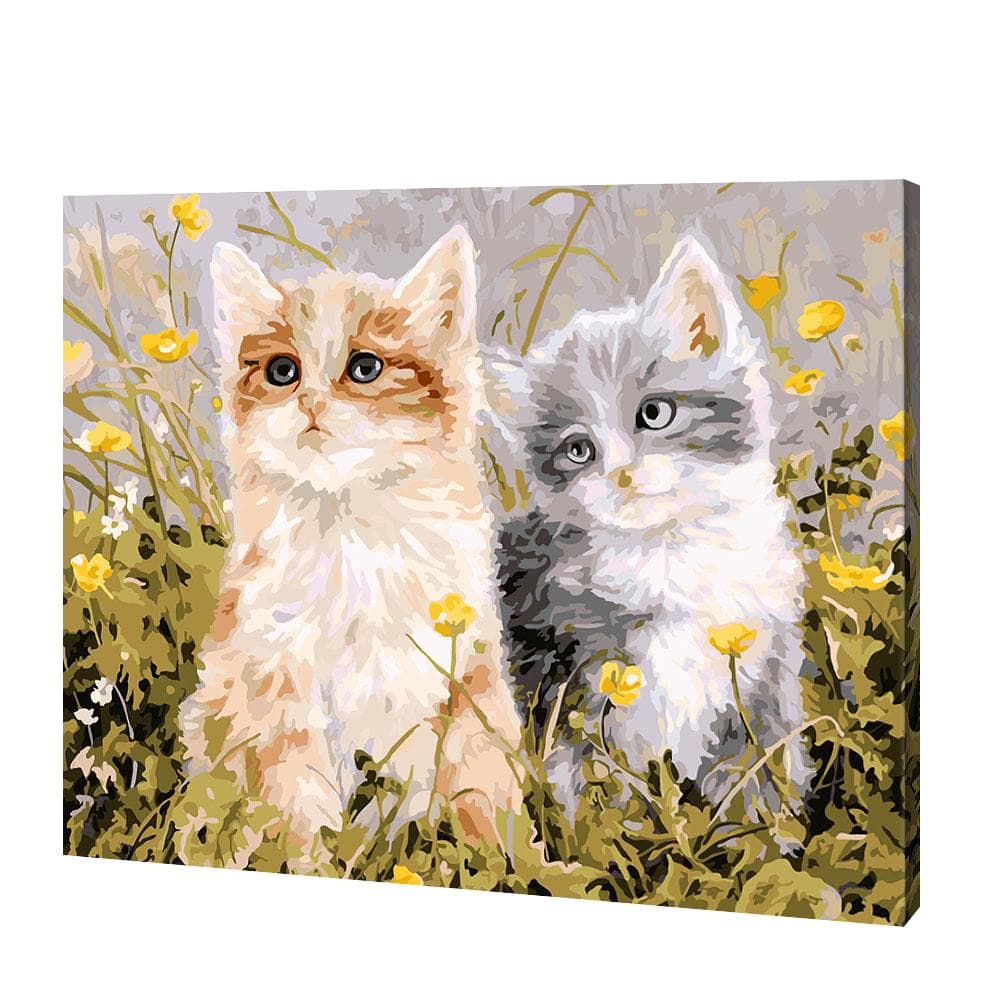Little Kittens , Paint By Numbers Canvas kits