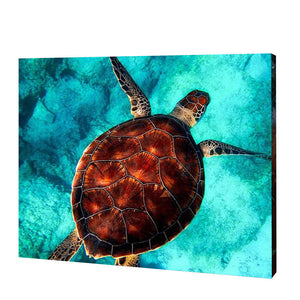 Swimming Sea Turtle Paint By Numbers